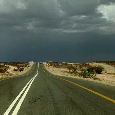 salm23186848491's profile picture. 