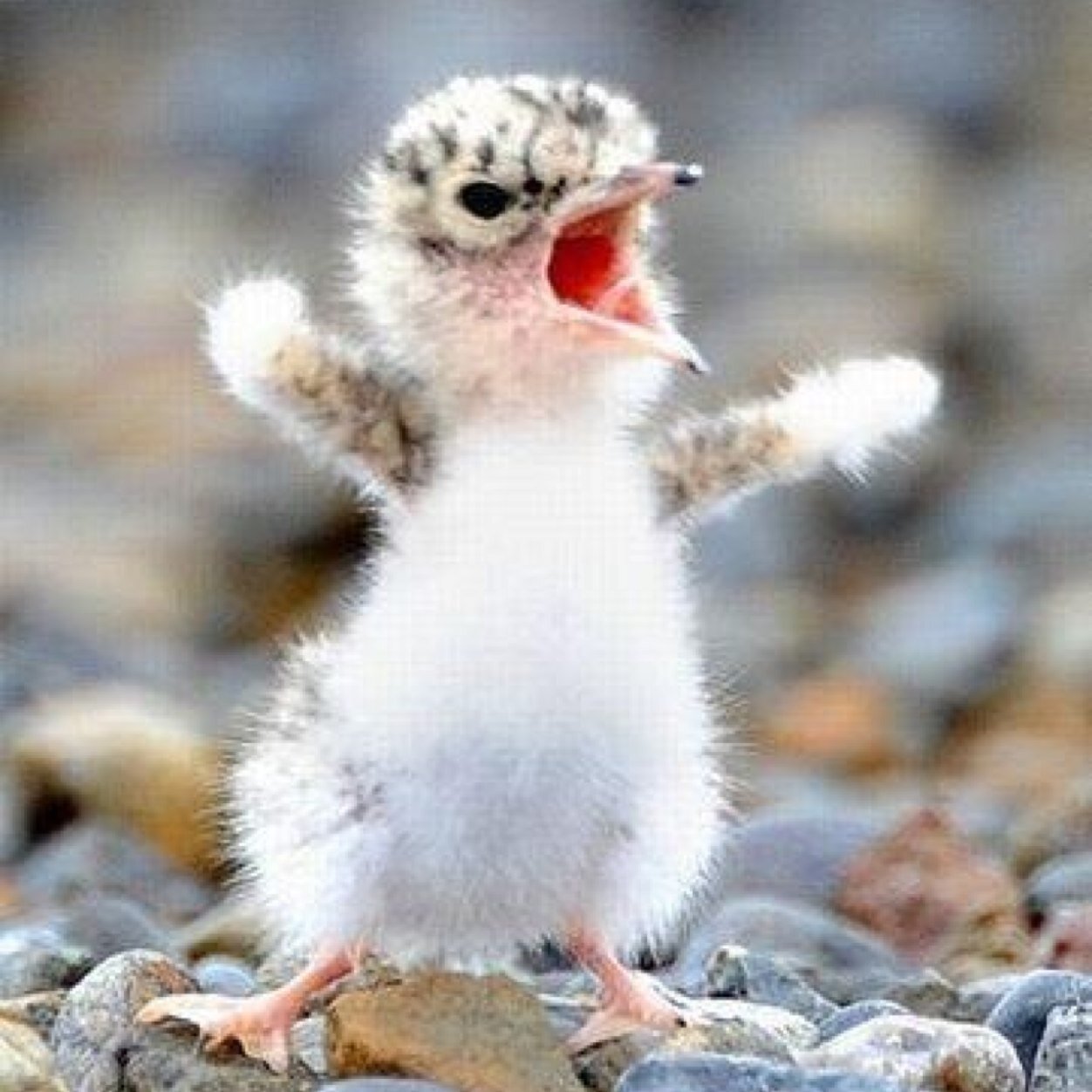 spywere2's profile picture. 