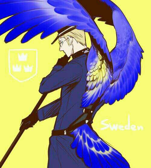 I am Sweden. You can call me Berwald. I'm tall blonde and sexy. And I have my eyes on someone