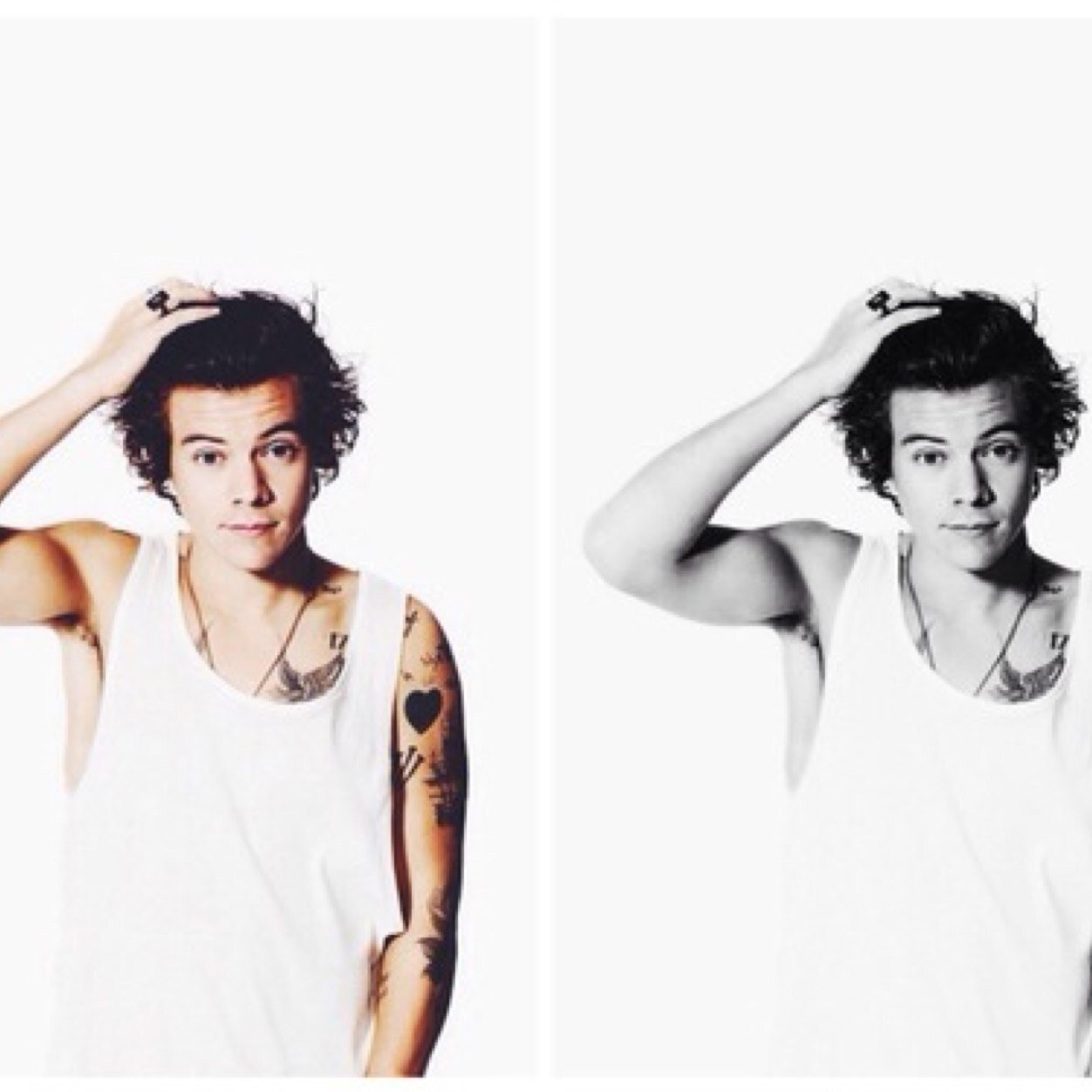 one direction AND 5sos fans! tweet to me and follow me! 3