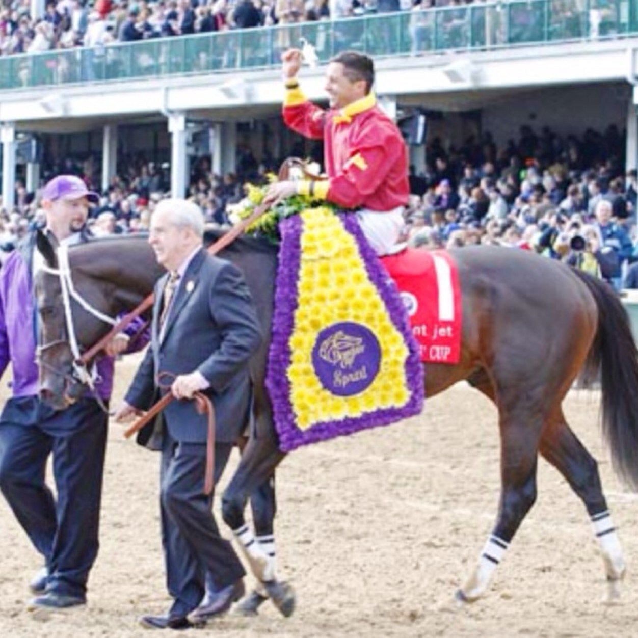 Hallmarc Stallions LLC Proud home of BIG DRAMA, TELLING, 
A.P. Warrior, Strong Contender, It's No Joke, Value Plus, Spellbinder...
