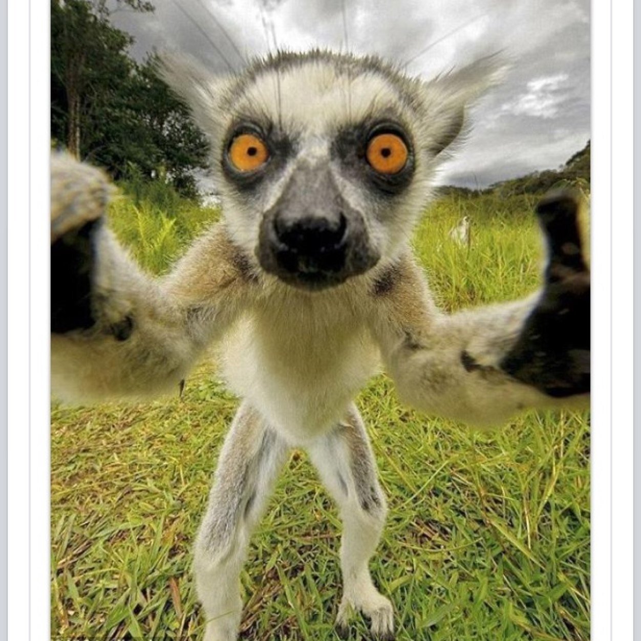 Positivezabmx's profile picture. Everything bmx, mainly post bmx edits