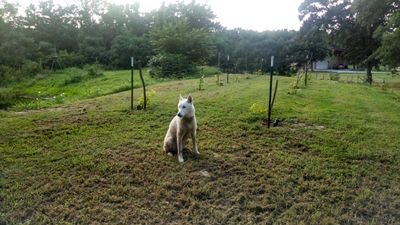 SidesVines's profile picture. Sides Family Vineyards