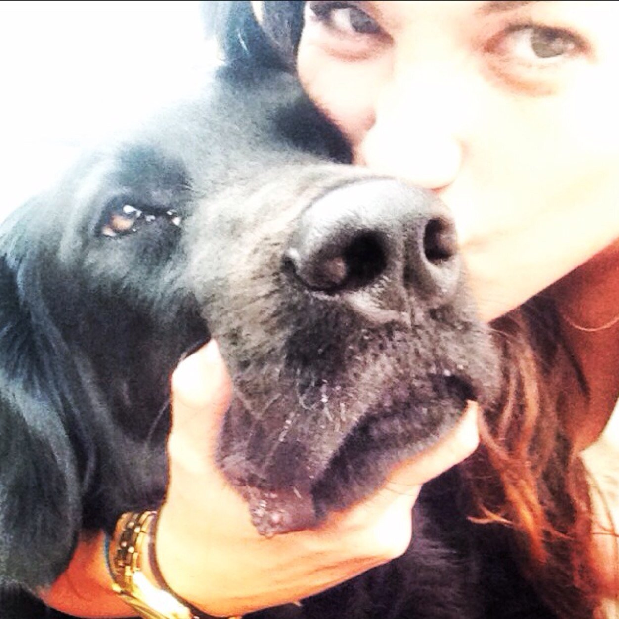 allieklever's profile picture. 