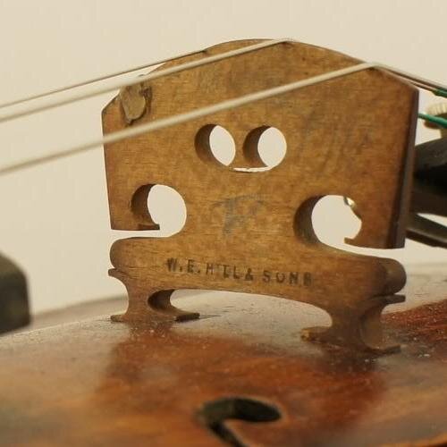 tommyfiddle's profile picture. 