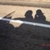 Patricia Martinez (@patricia1106) Twitter profile photo Patricia Martinez (@patricia1106) Twitter profile photo