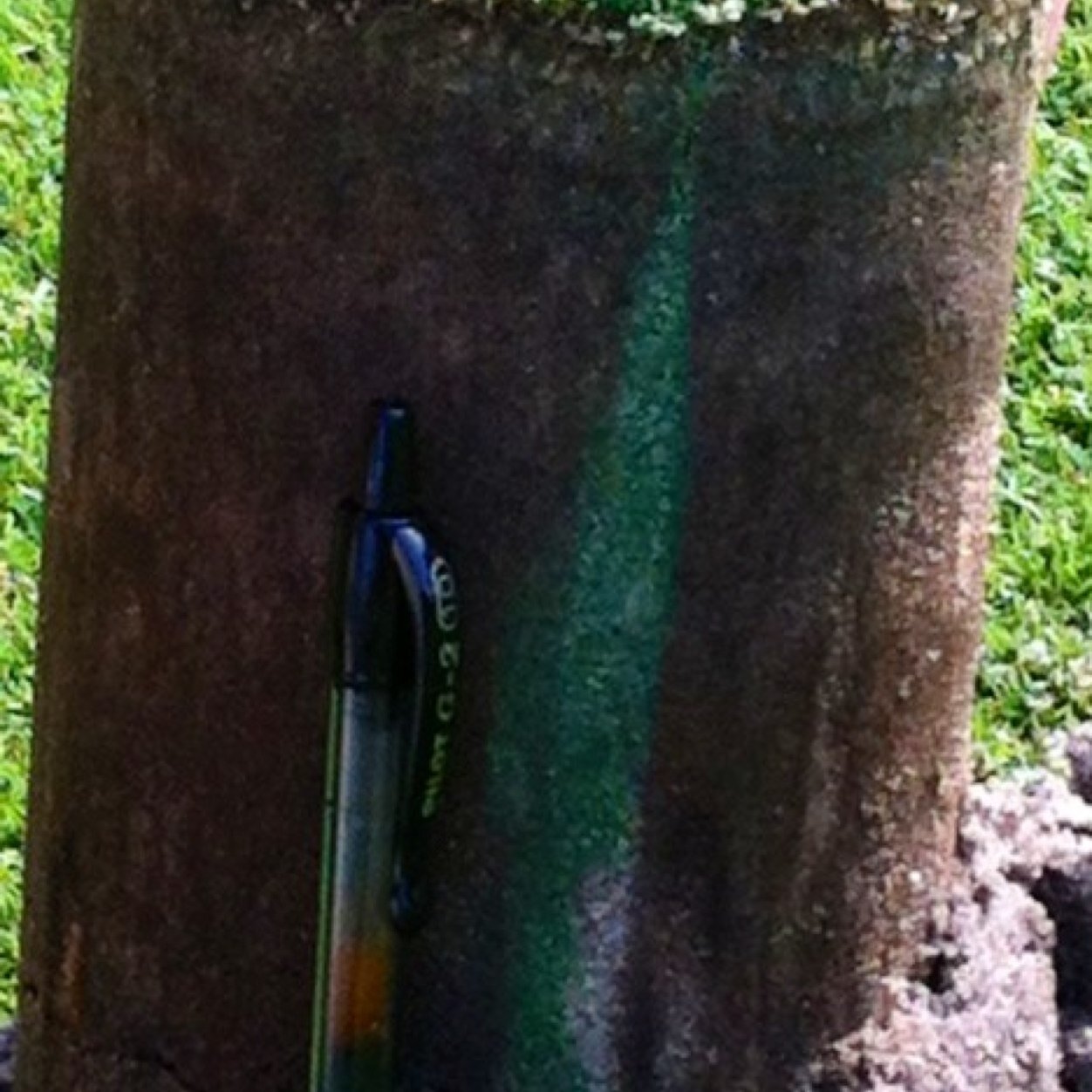 Owner of DryJect services for Tennessee, Mississippi & Alabama