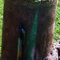 Chad Gamble (@dryjecttn) 's Twitter Profile