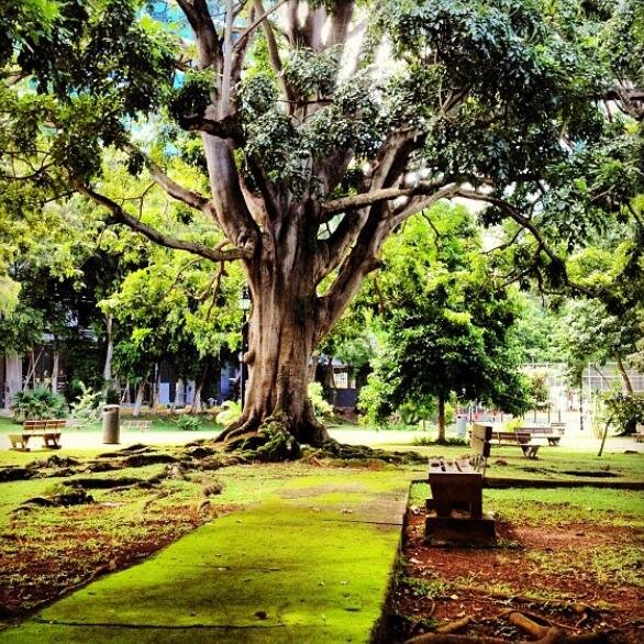 ParqueHarryStru's profile picture. 