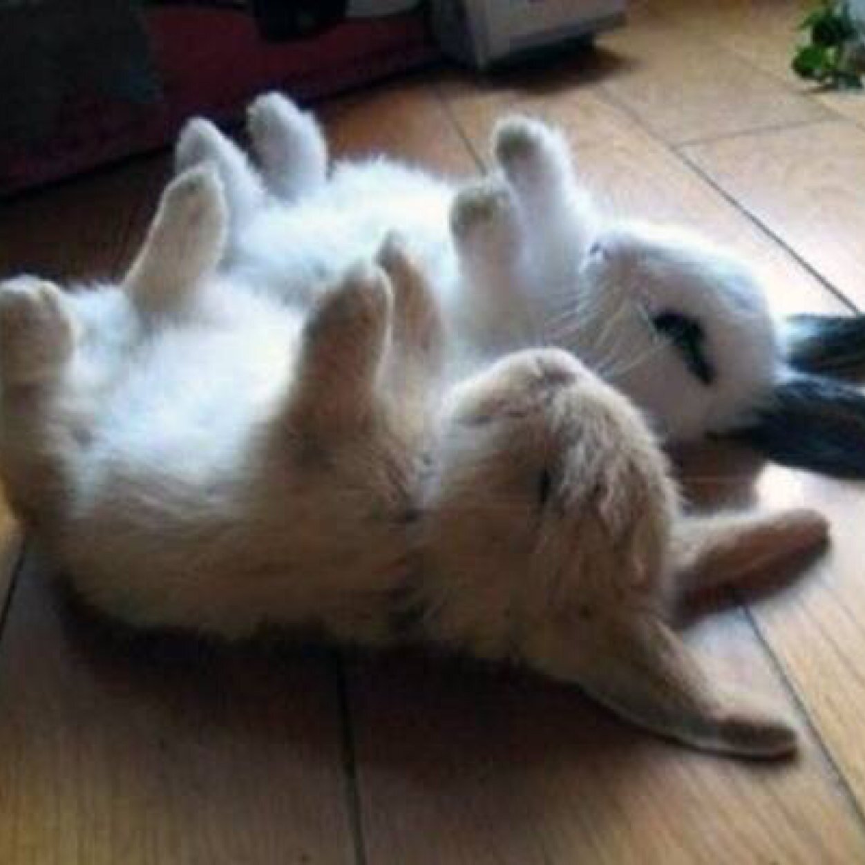 funnyfon97's profile picture. 