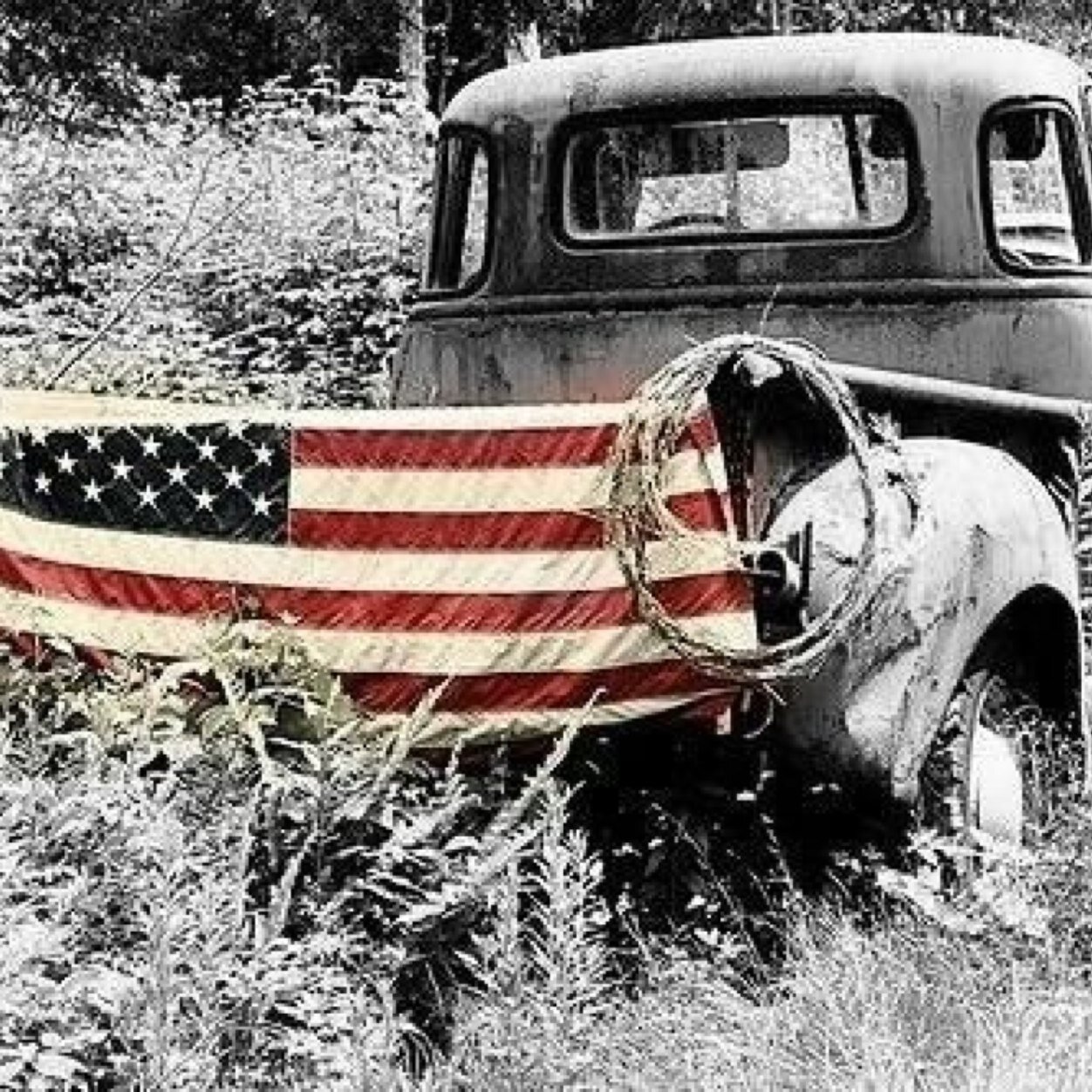 LillyLuster's profile picture. Never will i leave you, never will i forsake you.