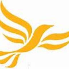Published and promoted by T Ball and S Moore (Liberal Democrats) at 31 James St West, Bath, BA1 2BT