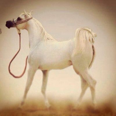 MY PIN : 5287C747