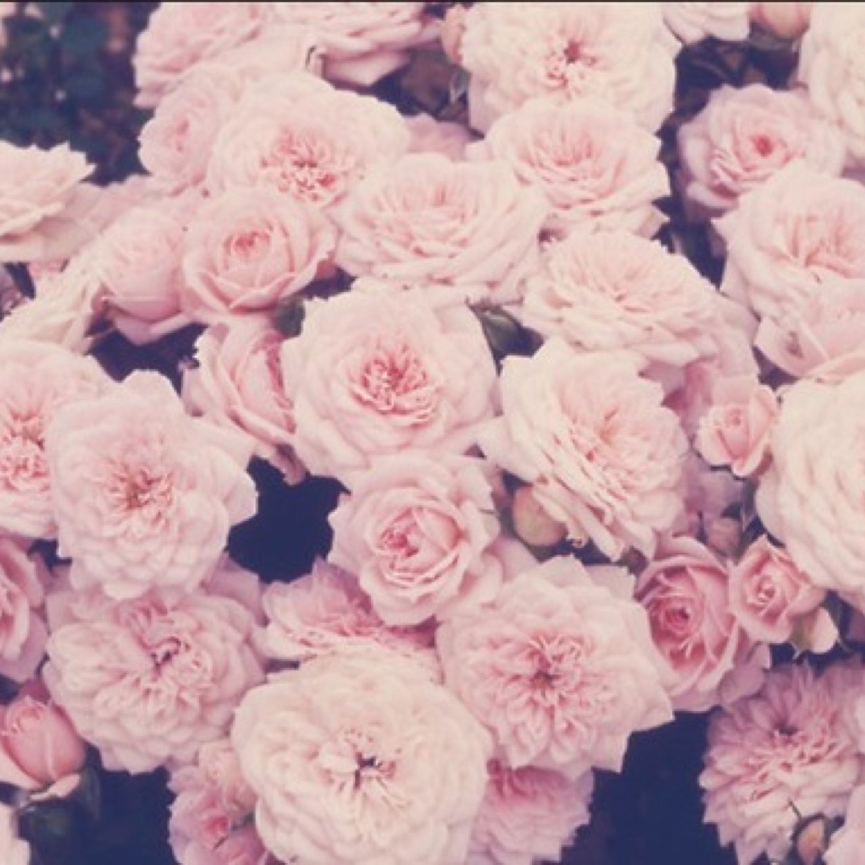 WithinSadness's profile picture. 16