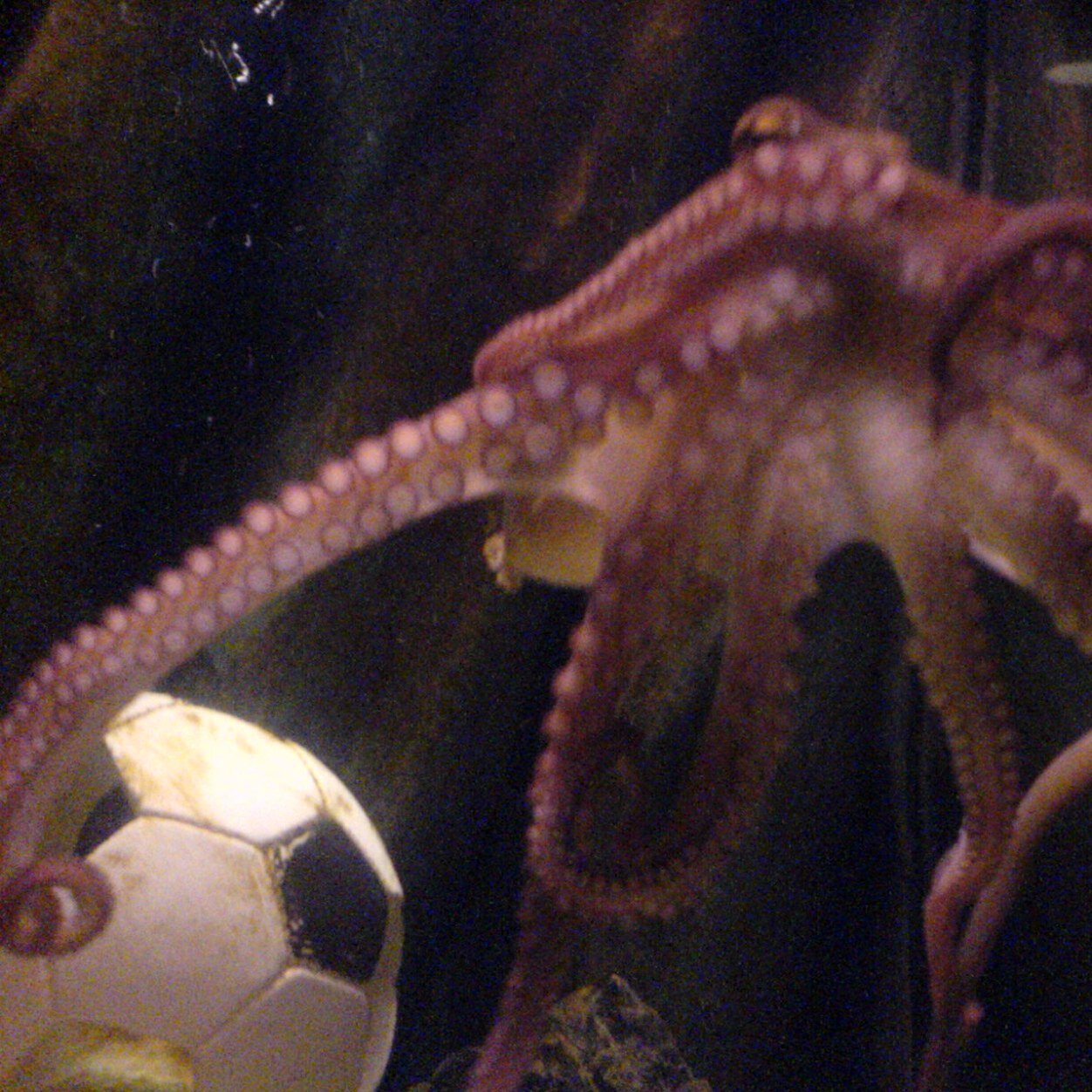 ManfredGrunert's profile picture. 