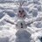 McGuires410's profile image