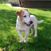 cvrkut13 (@cvrkut13) 's Twitter Profile