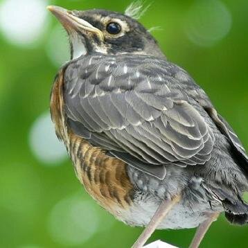 Quentin_Ouf's profile picture. P~t le ouf qui retwette tout ce qui psse le #meilleur #the#best #follox#follow !!!!!?¨££//*m$
!!!!!!!!!!!!!!!!!!!!!!!!!!!!!!!!!!!!