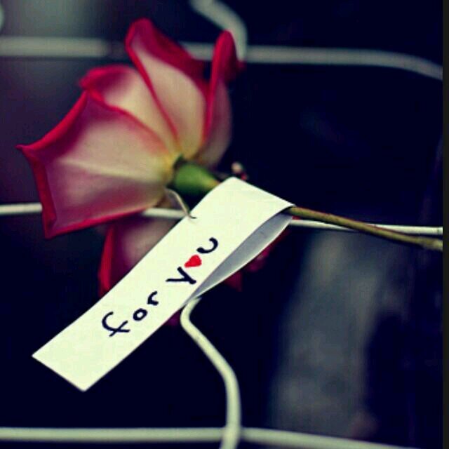 @ Reem452