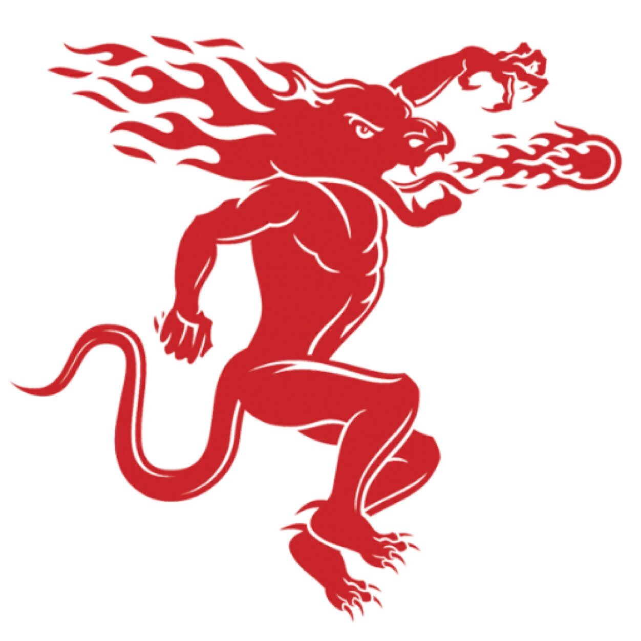 FireballBro's profile picture. Ill be dragging my fireballs across your face later tonight, joint account between 2 buddies who love fireball, Merica, and the South #DoItForDale