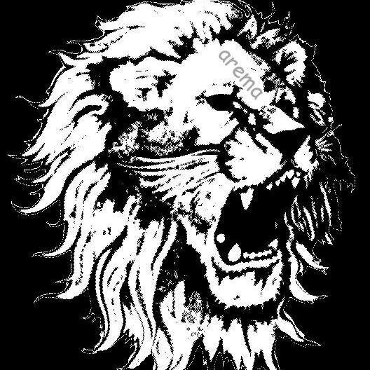 arema_klaten's profile picture. #SASAJI