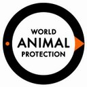 WSPA USA (@wspausa) Twitter