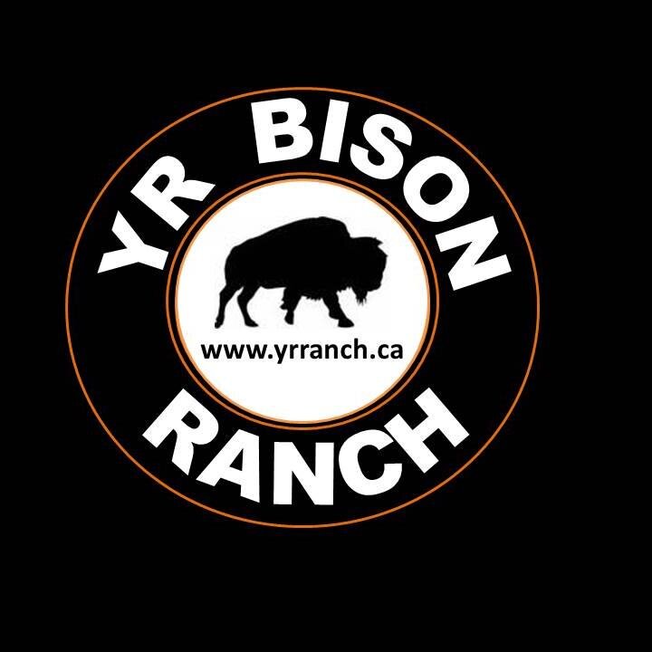 YR Bison Ranch 🧢