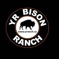 YR Bison Ranch 🧢 (@yrbisonranch) 's Twitter Profile Photo YR Bison Ranch 🧢 (@yrbisonranch) 's Twitter Profile Photo