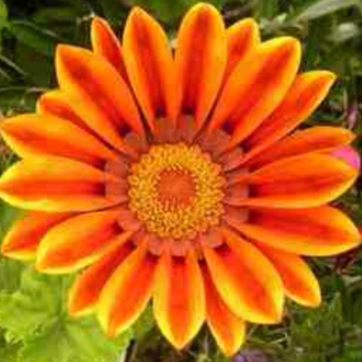 WAddressIt's profile picture. 