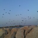 ABaaqhil's profile picture. انسان ، اهتمامات في القراءة والكتابة ، نمط حياة اولا وشوية من كيسي ثانيا وفِي النهاية تجربة شخصية أولا وأخيرا ..