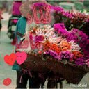 عيوش الهلالي (@0000qqq0089) Twitter