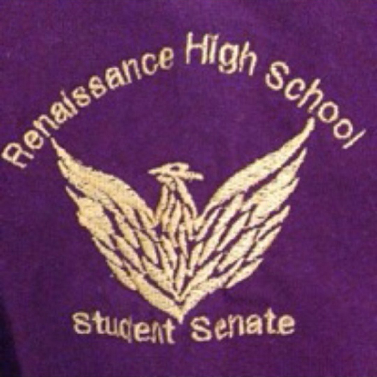 RHS Senate. Providing all updates on projects, fundraisers, organizations and more! Stay tuned for all things Senate for the 2017-2018 school year!