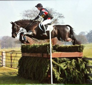 Vendors and Producers of Sport Horses
