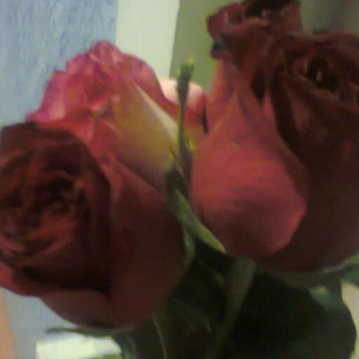 Maritza2981's profile picture. 