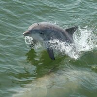 Rudee Tours (@rudeetours1) 's Twitter Profile