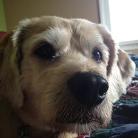 Mandy Hanner (@mandyhanner) 's Twitter Profile