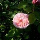 Imogen Hale - @imogenwho - Twitter