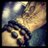 useyourthirdeye's profile image