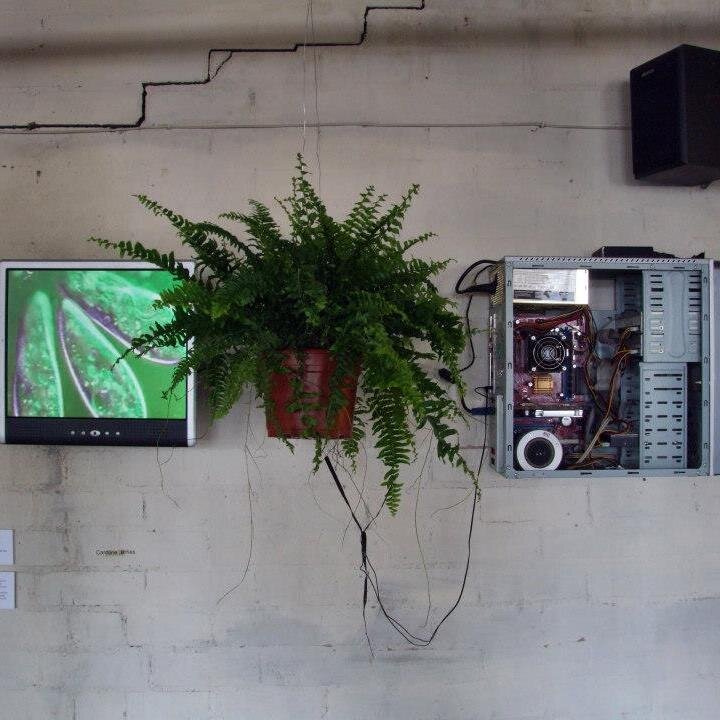 BioArt, Biosemiotic Art, Affective Interaction Art, Transspecies Art.