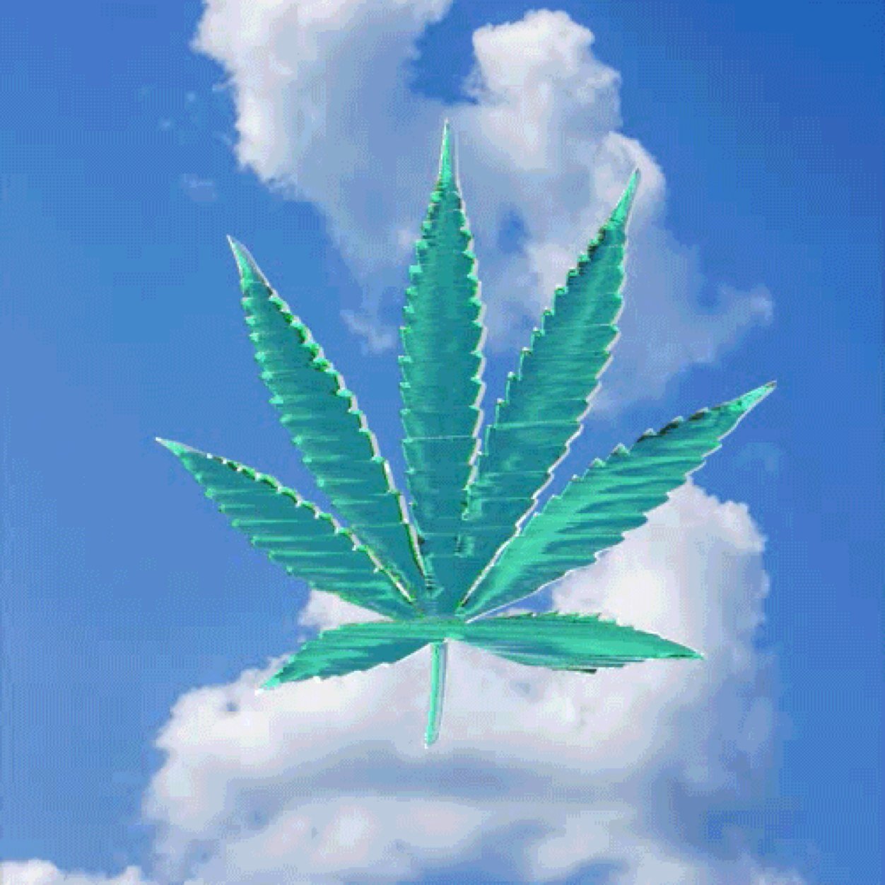 ☯life's a bitch and then you die, so fuck the world and let's get high.☯