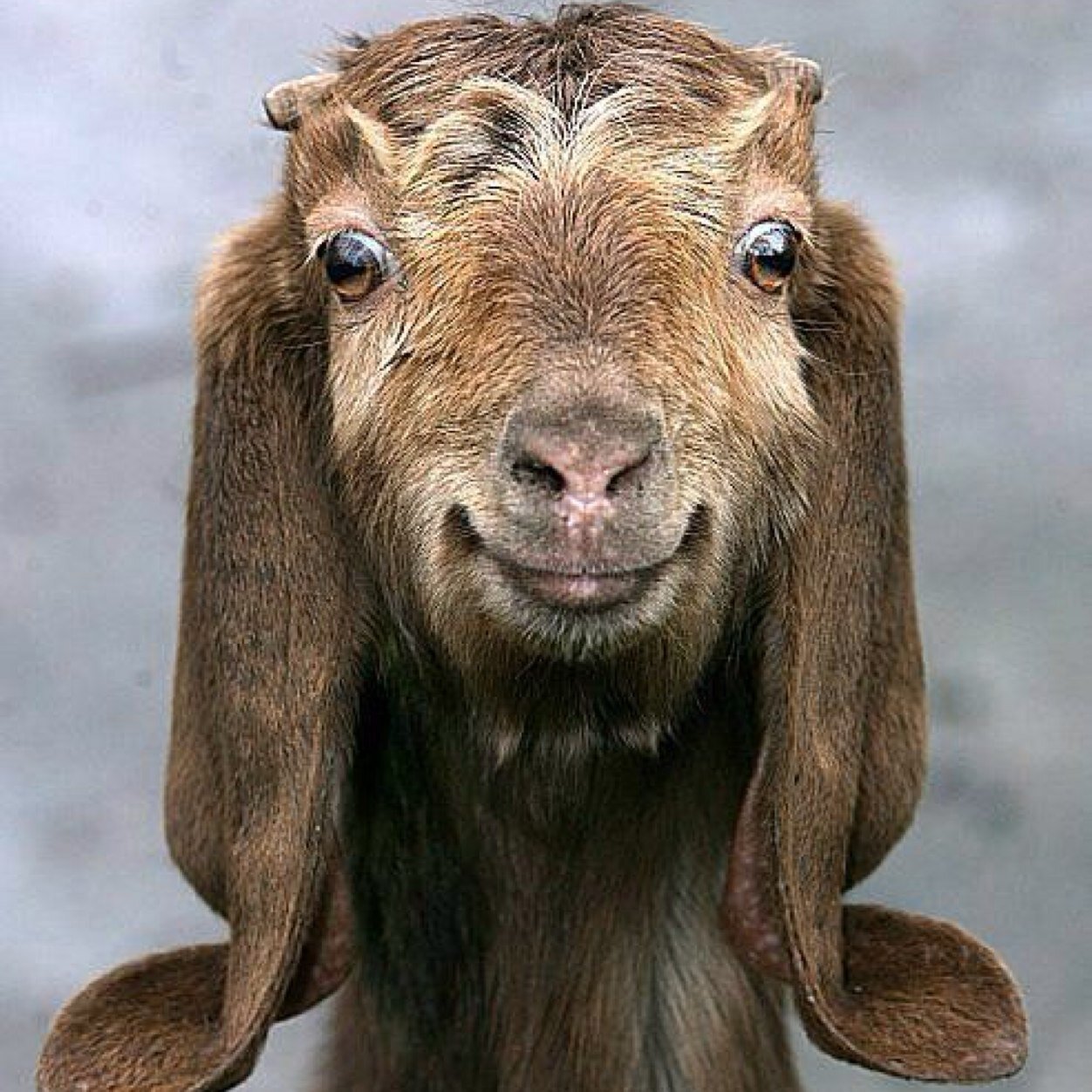 jonrastaman2014's profile picture. 