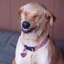 Deb Ingram - @purrlbailey - Twitter