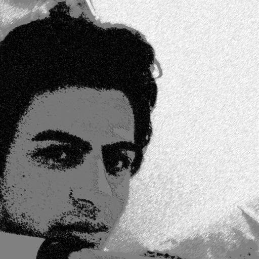 ***پایدار تا پای دار***