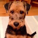 sjahertford's profile picture. 