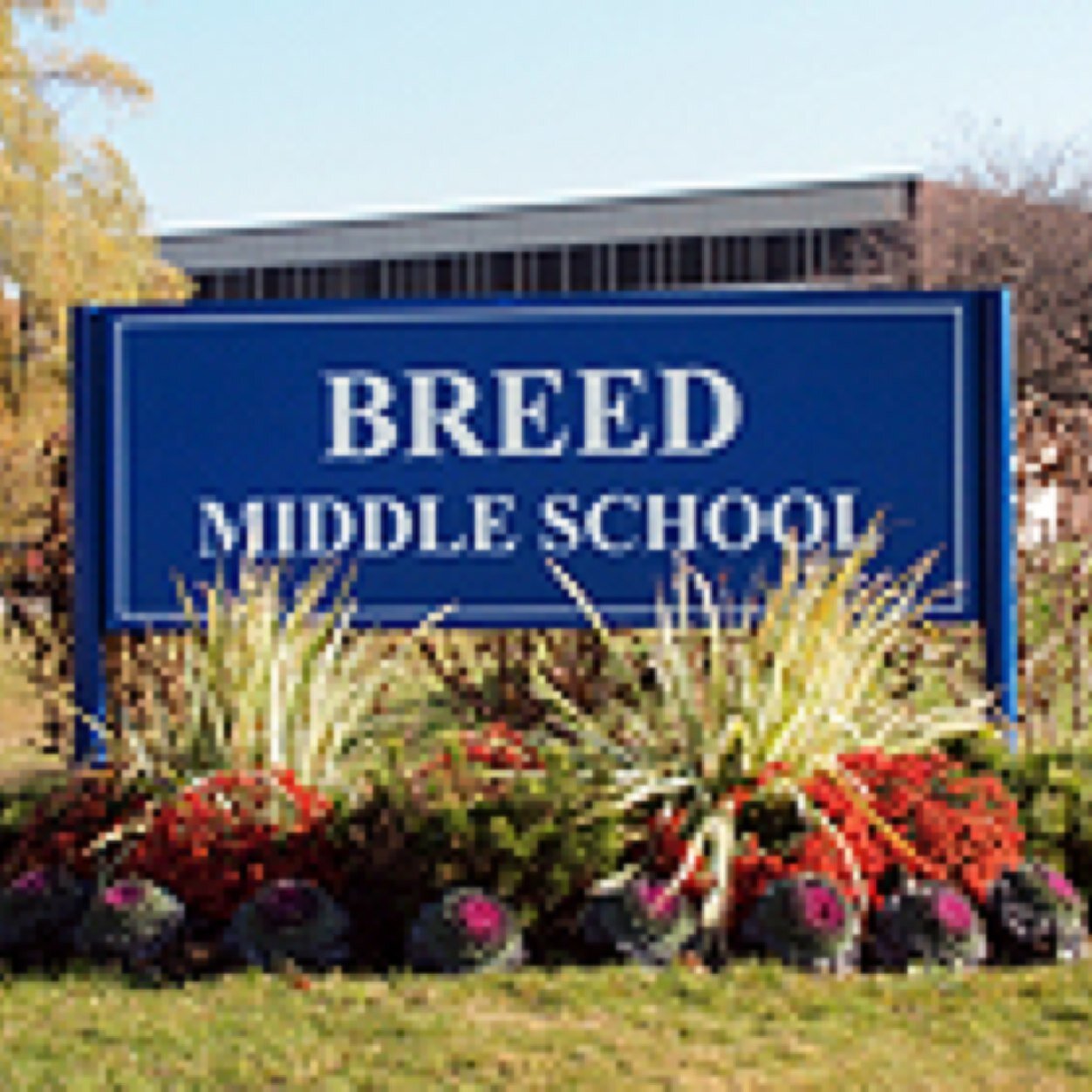 lynn schools (LynnSchools) Twitter