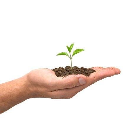 Life Insurance