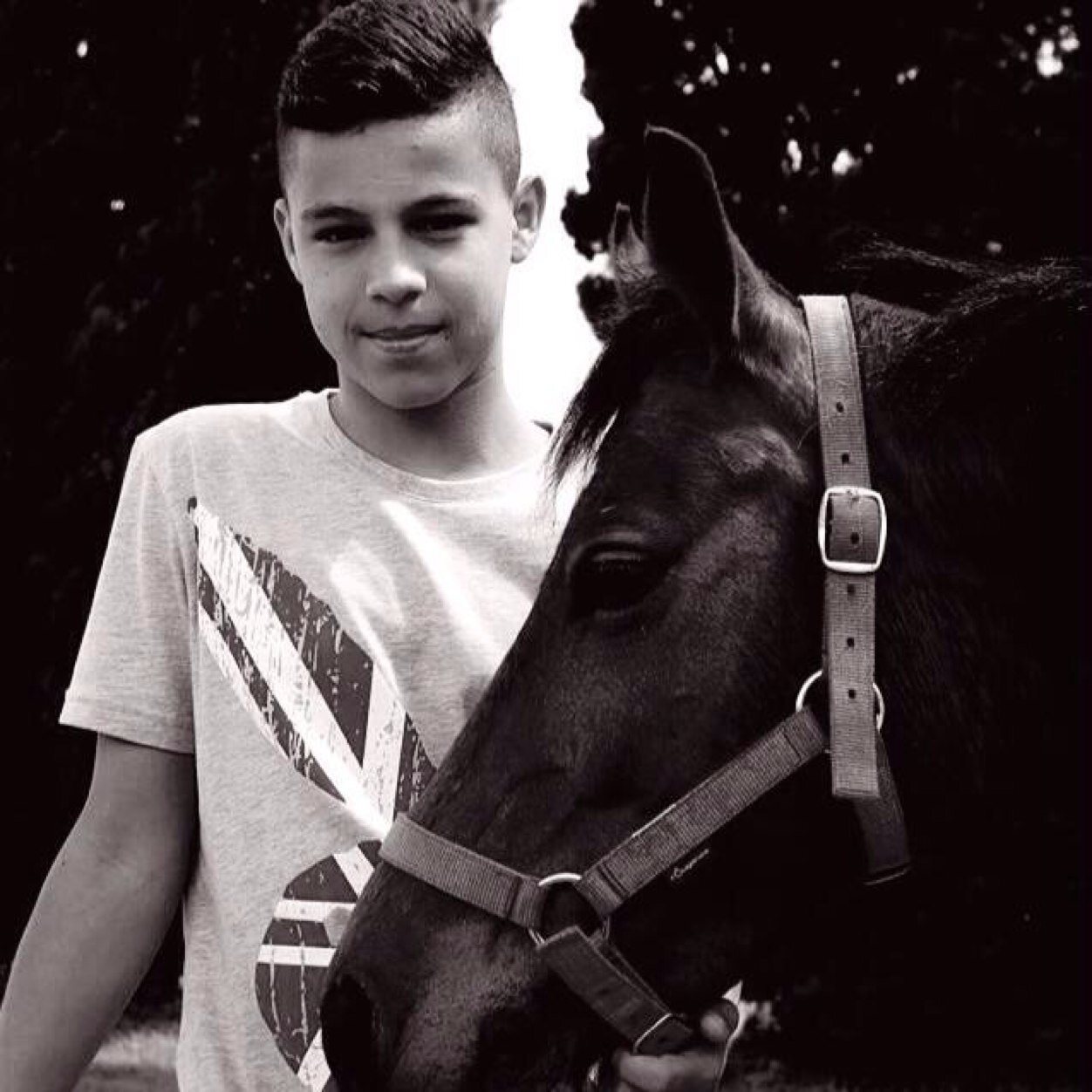 Mon Facbook : Aurélien Isöârd.
Instagam : gladiator_91