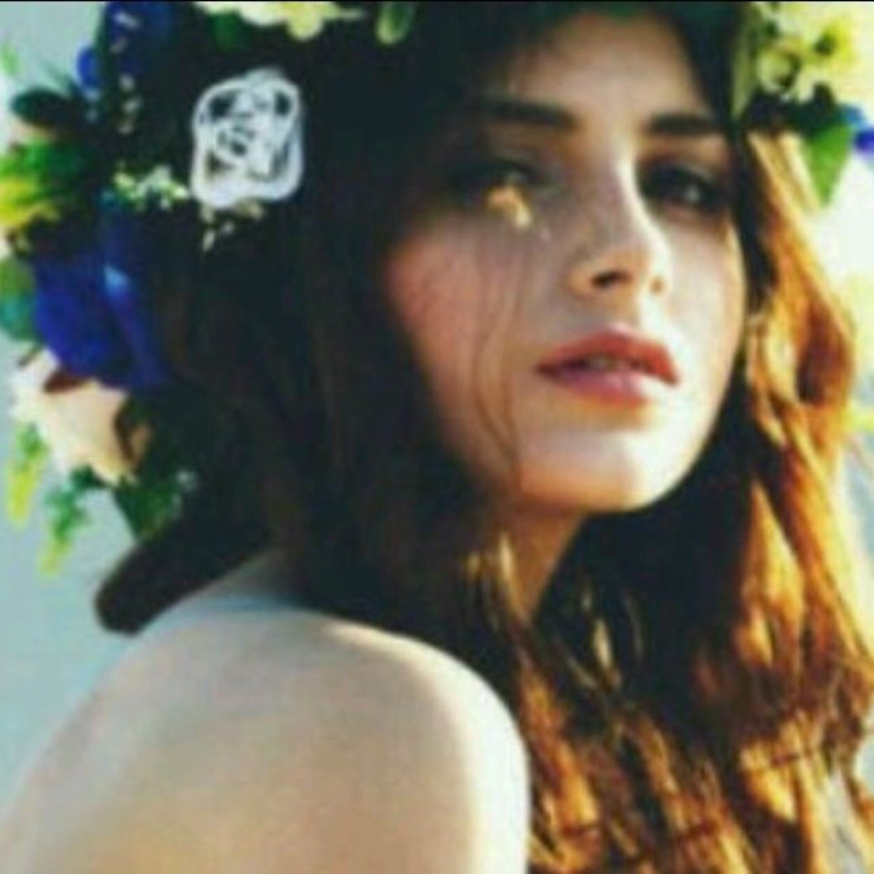 _dl3xx's profile picture. 