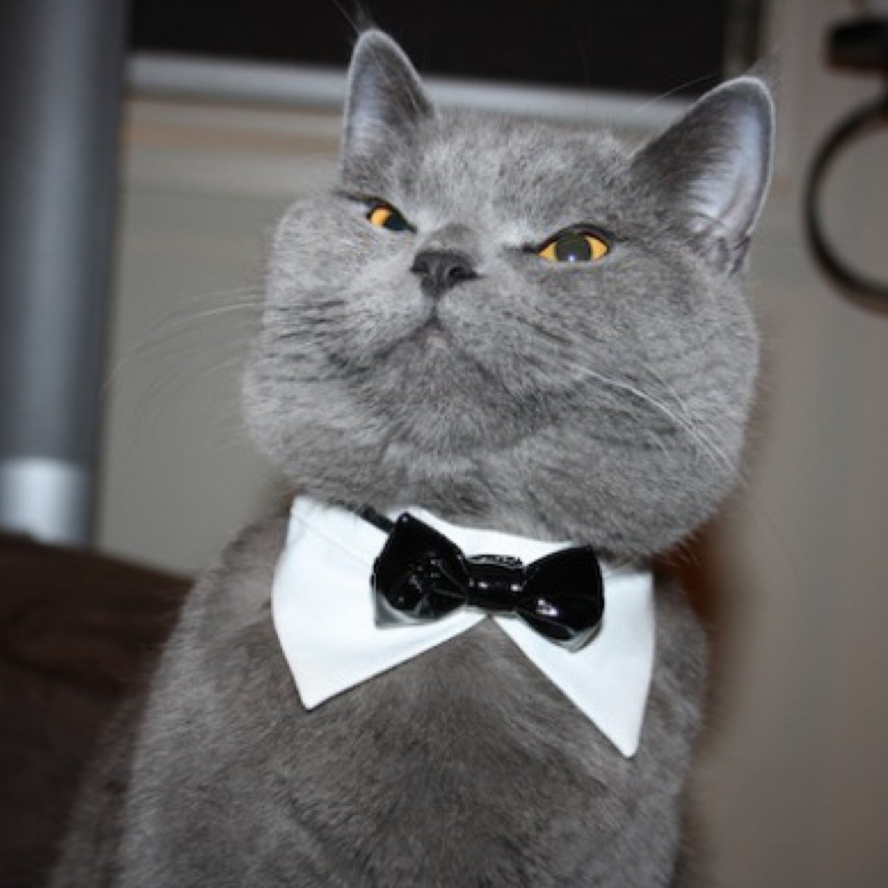 xer096's profile picture. 