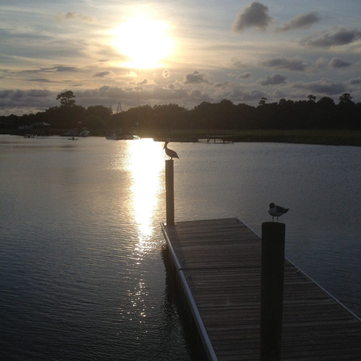 SamPriProps's profile picture. 